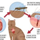 뉴월드동물병원 이미지