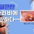 가리비야 이미지