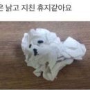 또나들이 이미지
