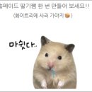 화이트리에 운정점