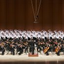 뽀꼬뽀꼬 이미지