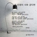 서미영 카카오 검색결과