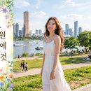 강명빌딩 민간 개방화장실 | 여의도한강공원 가기 전에 알아둘 것, 이 잔디밭은 원래 섬이 아니었습니다