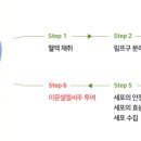엘씨 이미지
