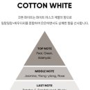 앤무드(N.mood) 이미지