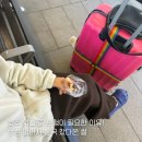 삼성약국 | 보험 없어서 한국 간 썰 :: 워홀 보험 추천 :: 삼성화재 다이렉트 글로벌케어보험 신청 및 청구 방법