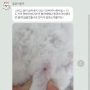 꽃달아줄개 이미지