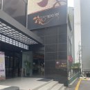 강남대로 현대제철 사옥 앞 | 효소찜질 다이어트-효소가와 강남점 개똥쑥 후기 내돈내산