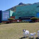 뮤직박스 이미지