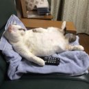 (주)마지노 이미지