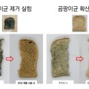 주식회사 다원바이오텍