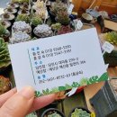 큰뜰농장(2) 이미지