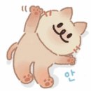 군산전자담배 디오션베이프 이미지