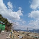 초록숲 하우스 이미지