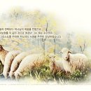 마태우리 이미지