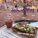 쉐누아빈치