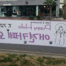 퍼피홀릭 제주 이미지
