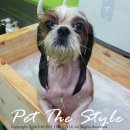 펫더스타일 이미지