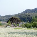 삼계2리 이미지