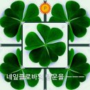 안암부동산공인중개사사무소 이미지