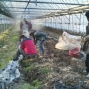 나눔한방허브 이미지