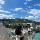 마스터카센터 | 셀린느 엘로이즈백 스몰 신세계오프라인면세 할인 구매 꿀팁
