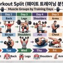 헬스 네이버블로그