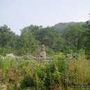 평곡1리 이미지