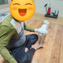 떡마마 세종새롬점 이미지
