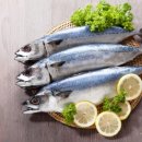 분더필라테스 이미지