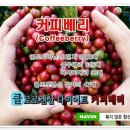 무내미 이미지