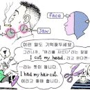 -- body (신체) - face/head, chin/jaw 이미지