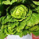 큰바우농장 이미지