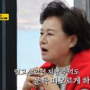 같이삽시다 이미지