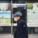 119동물병원 이미지