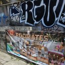 호스텔 데이 | 발리 짱구 숙소 도미토리 호스텔 루메이츠 서프캠프 바이 창구 Roomates surfcamp by Canggu