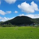 신대1리마을회관 이미지