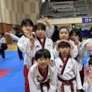 용인대 다한 태권도장 이미지