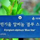 에린 이미지