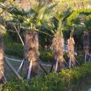 창원대로-2 이미지