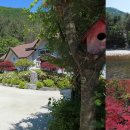 평창어울림펜션 이미지