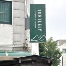 터틀리 | 안양 호계동 가볼만한 소금빵 맛집 카페 터틀리 포장 솔직 후기
