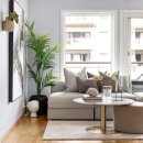 플랜테리어 이미지