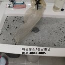 하나로13길 이미지