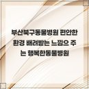 행복한동물병원 네이버블로그