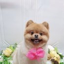예쁜미용 이미지