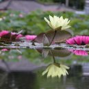 주천중학교 이미지