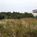 서귀포지방법원 이미지