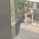 말랑블링 이미지