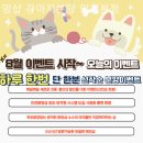 멍샵 강아지분양 인천본점 | 인천강아지분양 멍샵 강아지분양 인천본점 가격대비 만족도 높은 곳